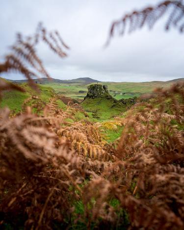 The Fairy Glen