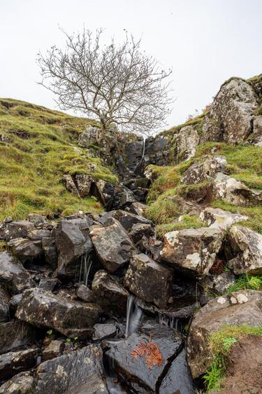 The Fairy Glen